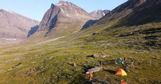 Wildcamp